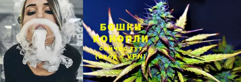 купить наркотики сайты  Дагестанские Огни  MEGA рабочий сайт  Конопля White Widow 